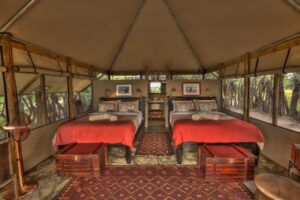 Great value safari camps in Botswana