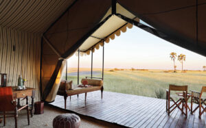 Safari Honeymoon Specials