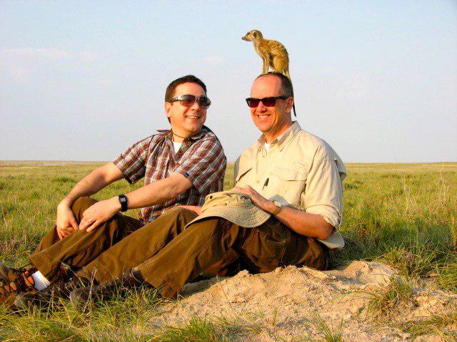 african-safari-meerkat-jeff-ward african-safari-meerkat-jeff-ward
