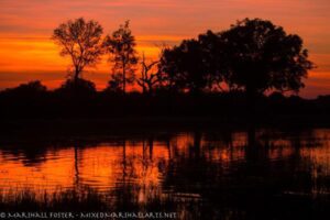 Botswana: 8 Reasons You Should Go