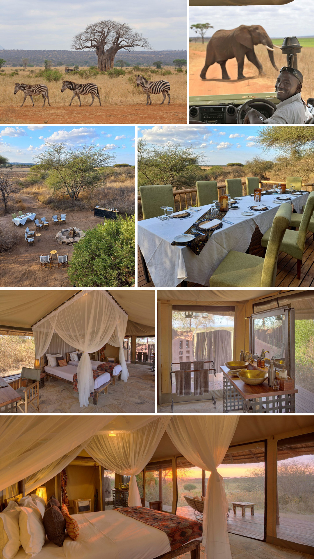 Asilia Olivers Camp - Southern Destinations - African Safaris