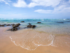 Thonga Beach Lodge