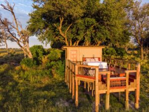 Sleepouts on safari:  A billion‐star experience!