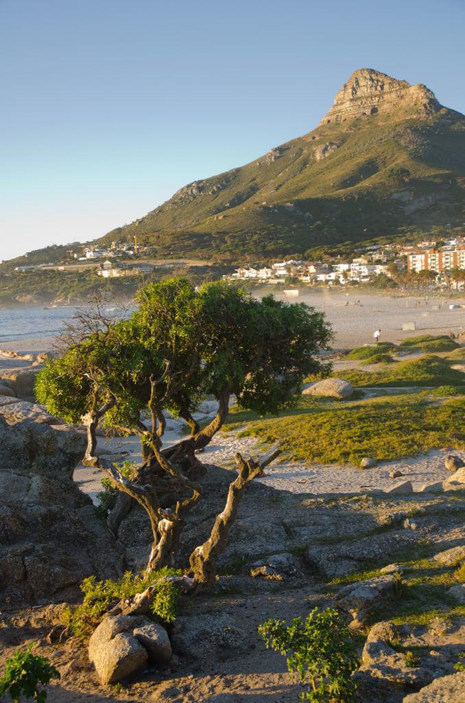 Camps Bay © Jeff McClay