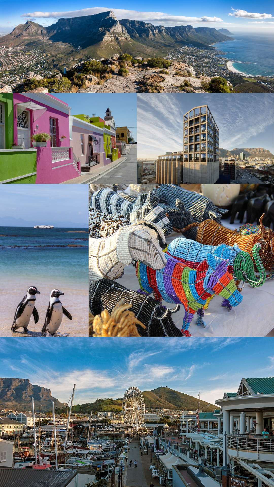 Cape Town - South Africa - African Safari