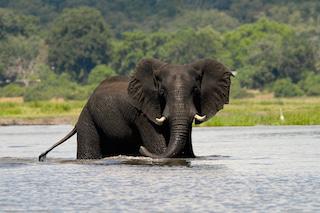 The Full Botswana – Desert & Water – 10 Days