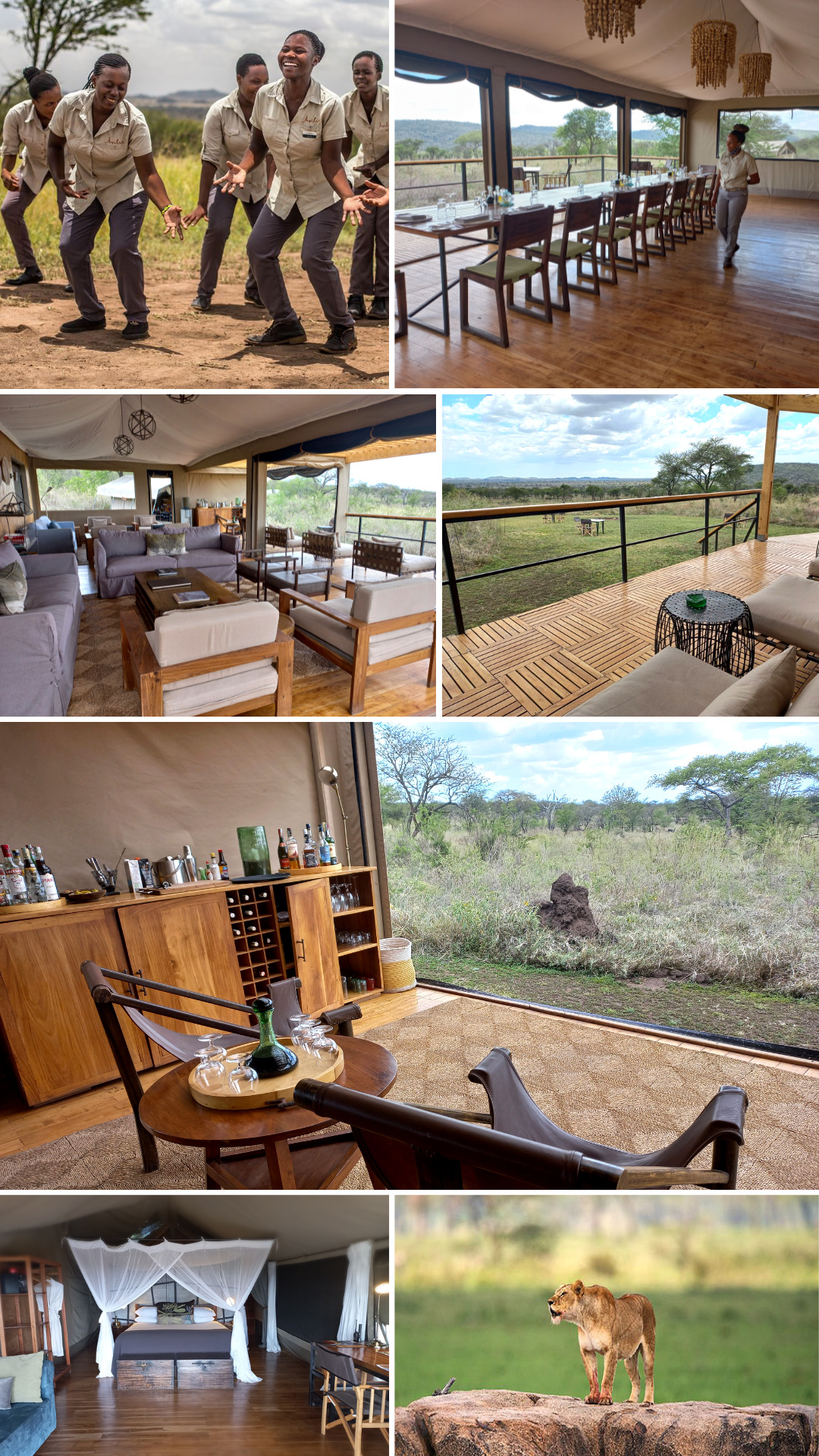 Dunia Camp - Serengeti - Southern Destinations - African Safaris