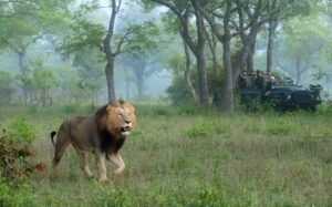 Sharing Africa’s best‐kept secret…