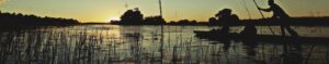 Botswana: Best Time to Go & Where to Stay, Best Safaris