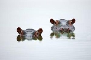 Remote Zambian Romance – 12 Days