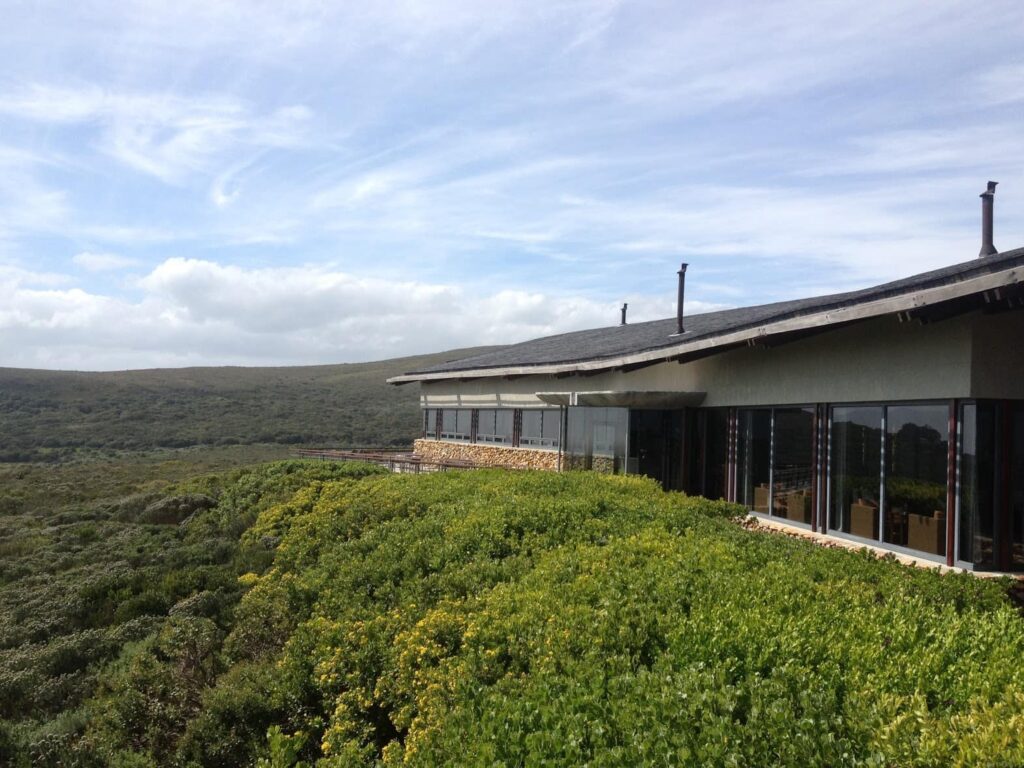 grootbos_forest_lodge