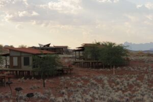 Healing Africa’s Elephants