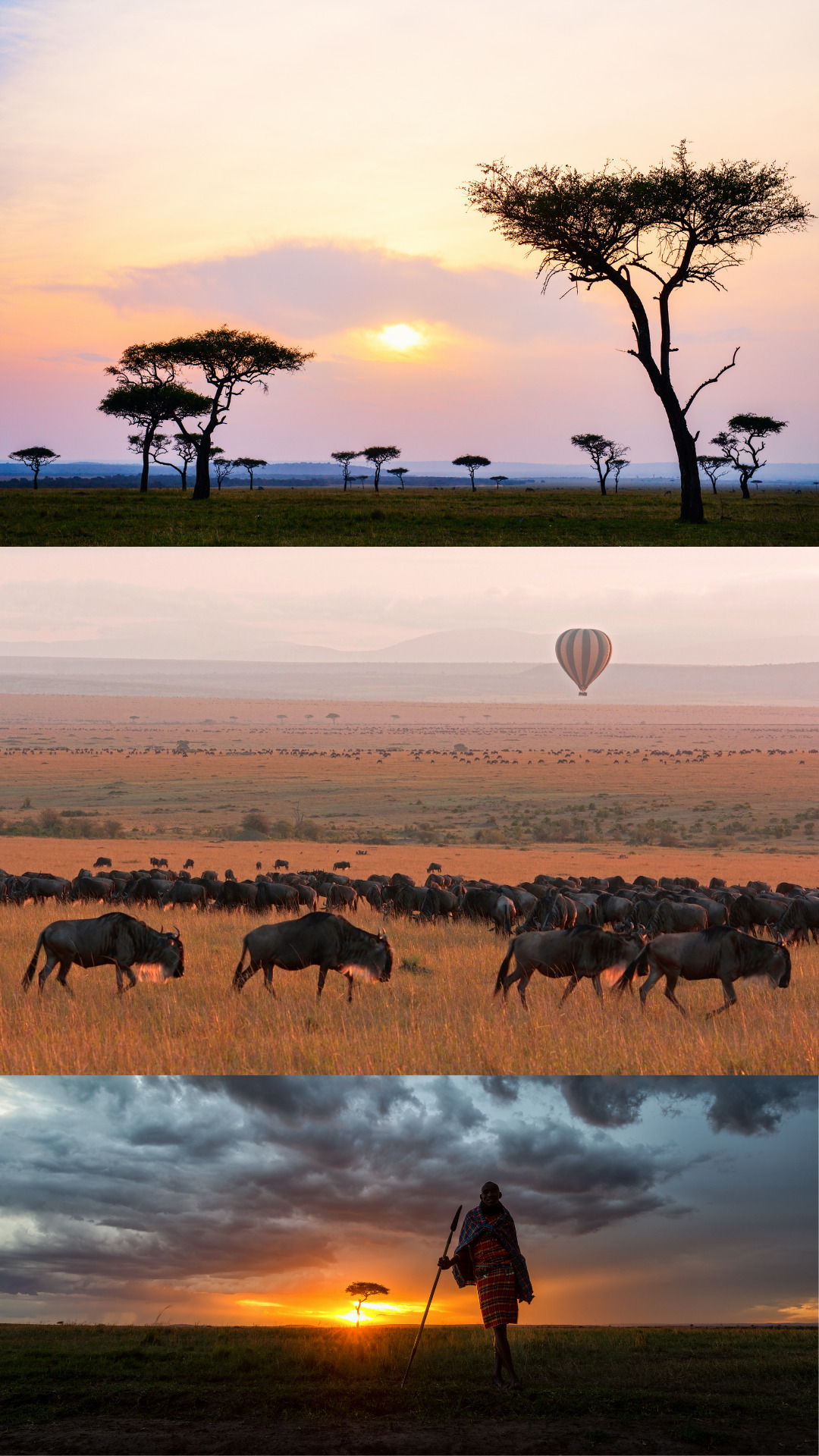 Kenya - Masai Mara - African Safaris