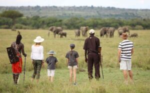 Where To Go Trekking In Africa