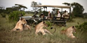 Luxury Northern Circuit & Zanzibar – 12 Days