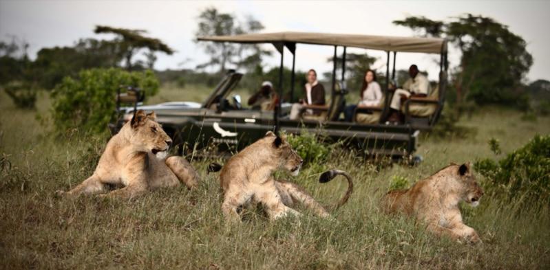 Luxury Northern Circuit & Zanzibar – 12 Days