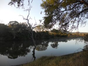 ASC’s Week in the Kruger National Park [part 1]