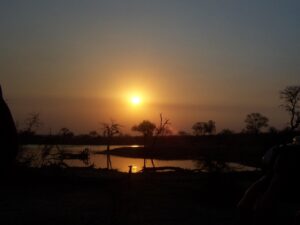 Photo of the Week:  Kruger Park Sunset