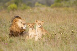 Photo of the Week – Happy Father’s Day