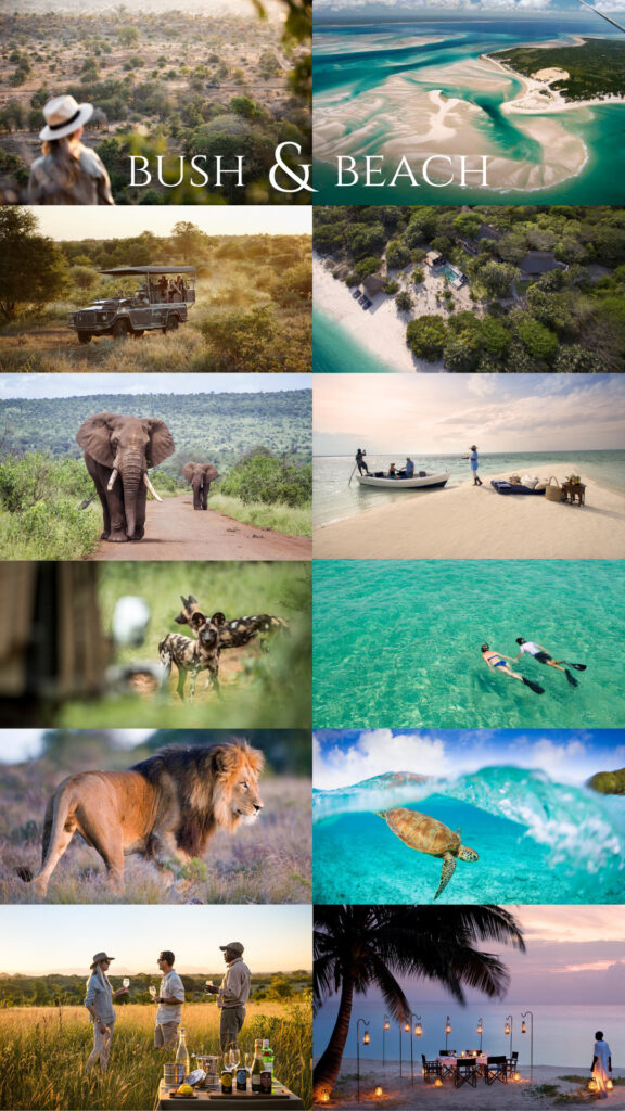 Multi-country safari_African Safaris_bush and beach: Kruger & Bazaruto