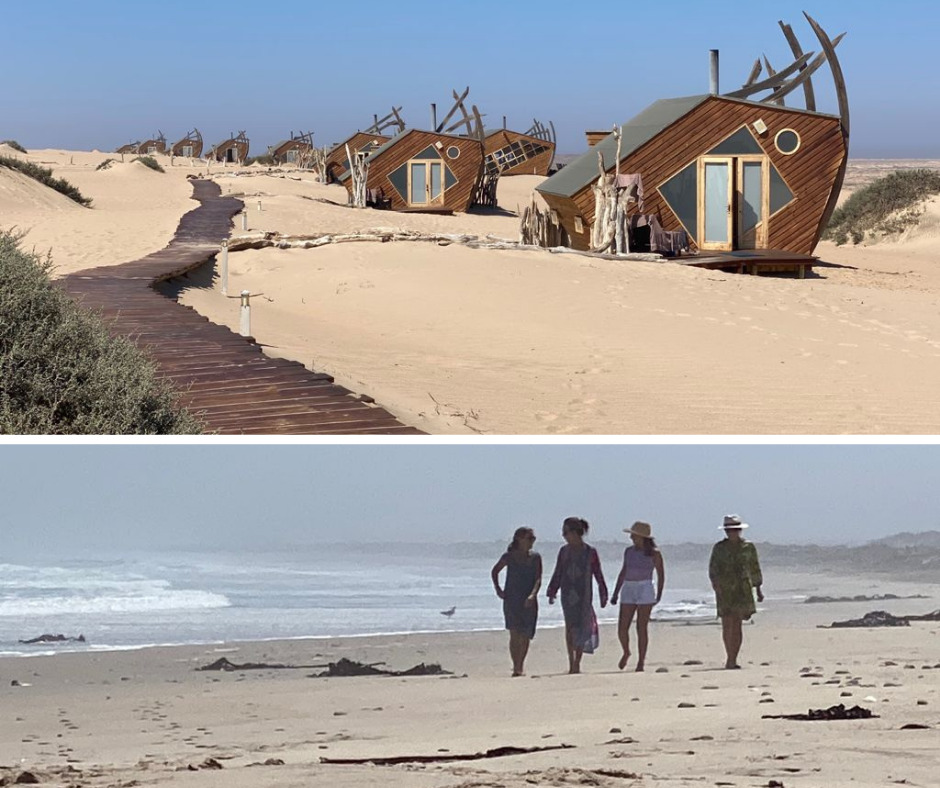 Namibia - Skeleton Coast - shipwrecks - seals - desert-adapted lions - brown hyena - black backed jackal