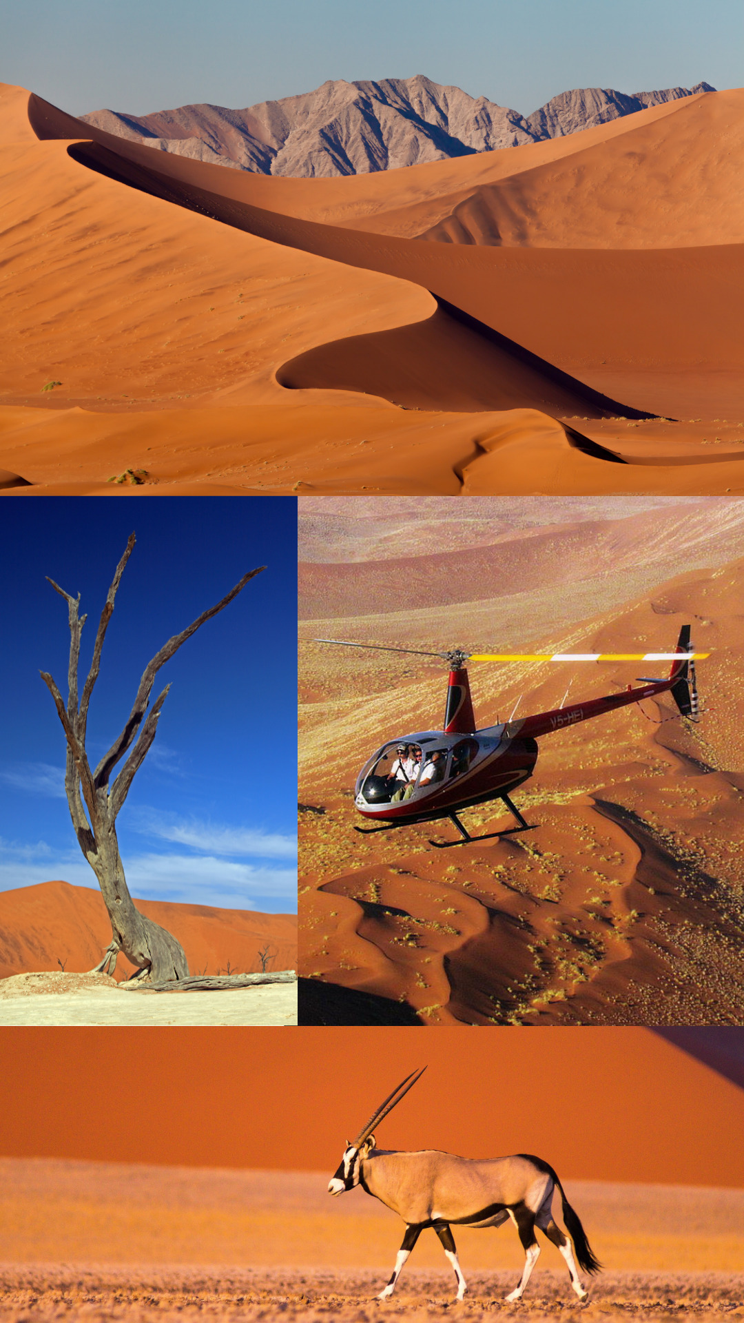Namibia - Sossusvlei - giant red dunes - oryx - Dead Vlei