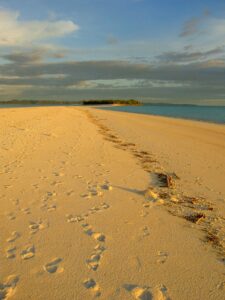 Photo of the Week:  Madagascar