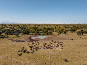 Porini Rhino Camp
