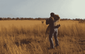 GoPro: Lions – The New Endangered Species?
