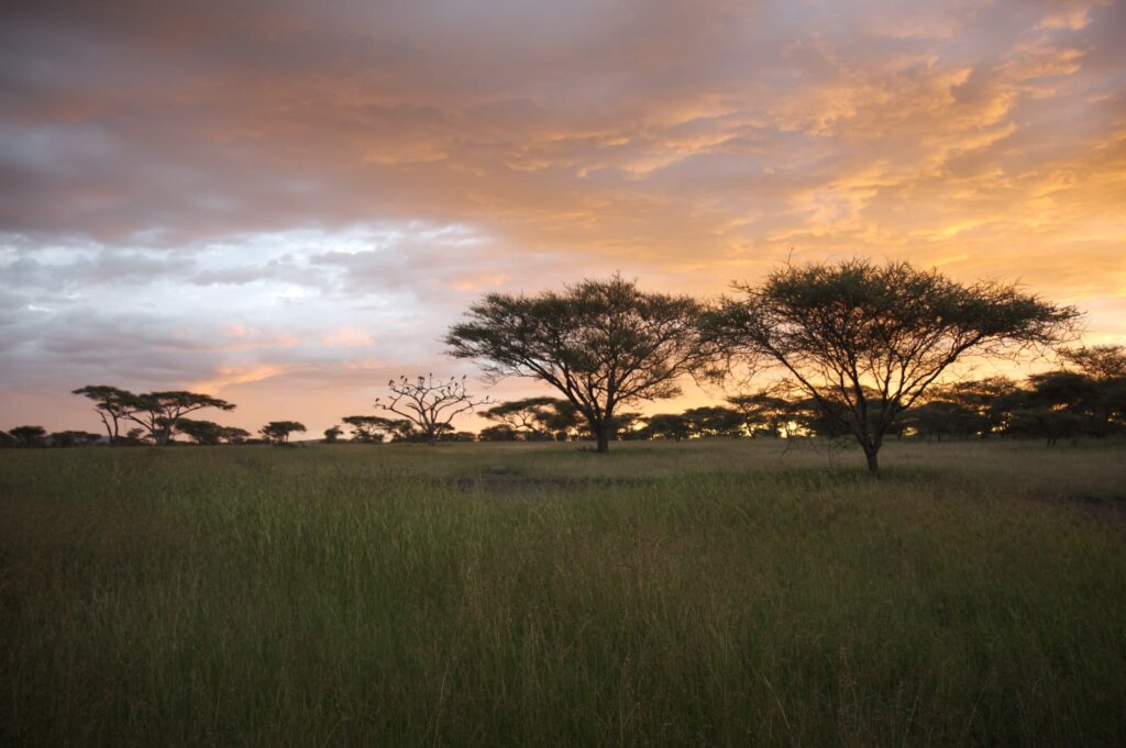 Serengeti-Sunset-tanzania