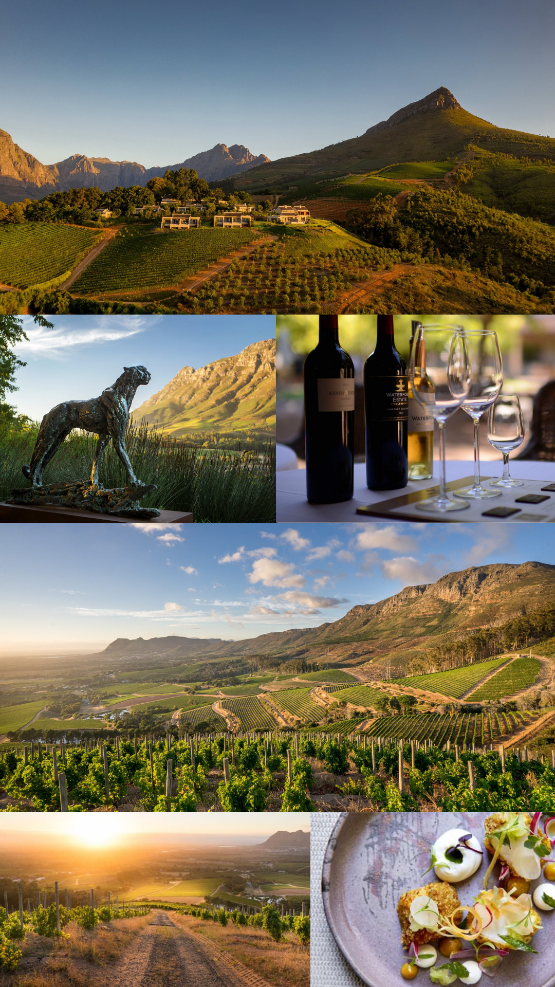 South Africa - Cape Town - Winelands