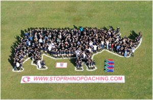 Rhino Poaching – Are we winning the war?