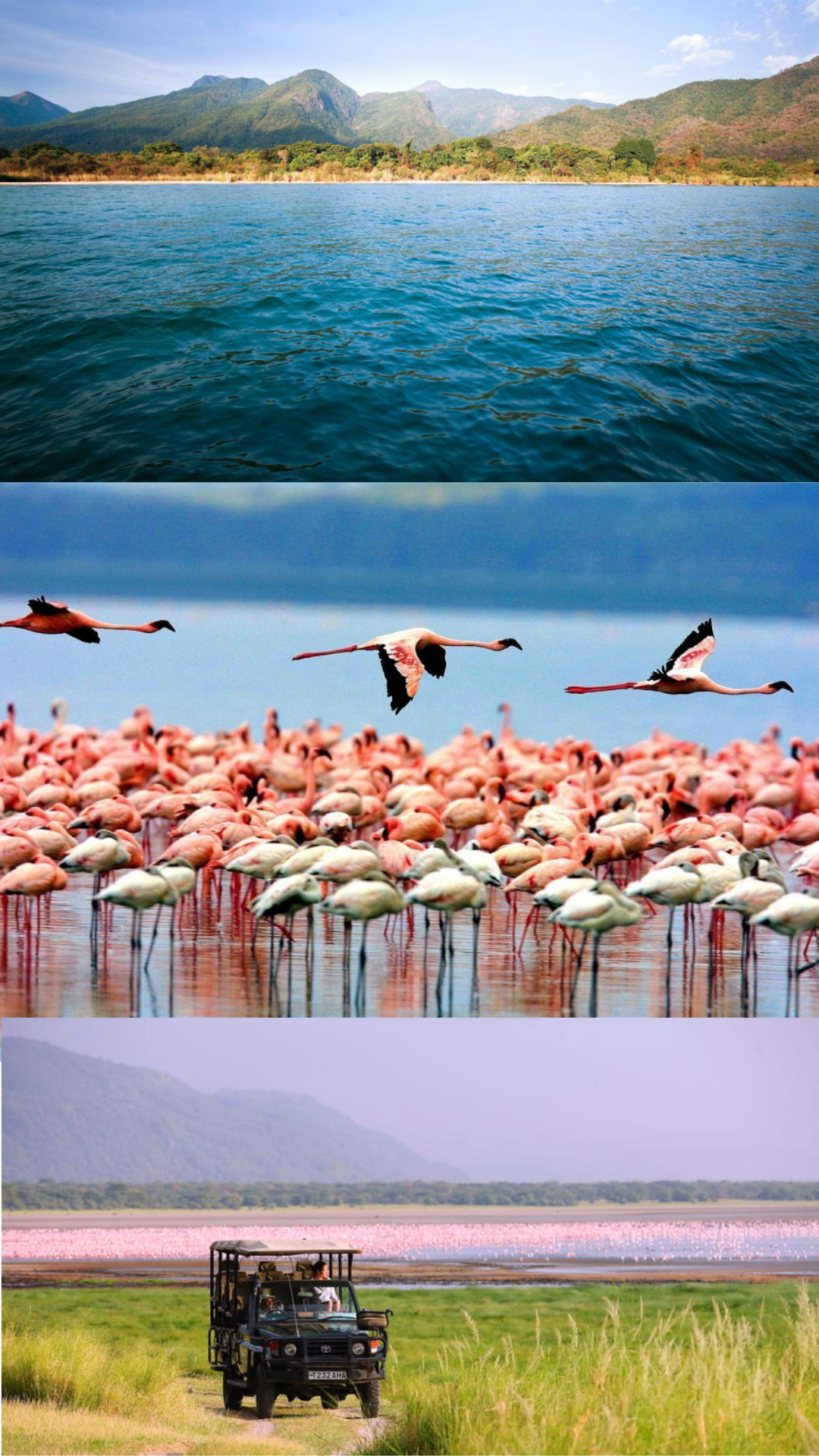 Tanzania - The Great Lakes Tanganyika and Manyara