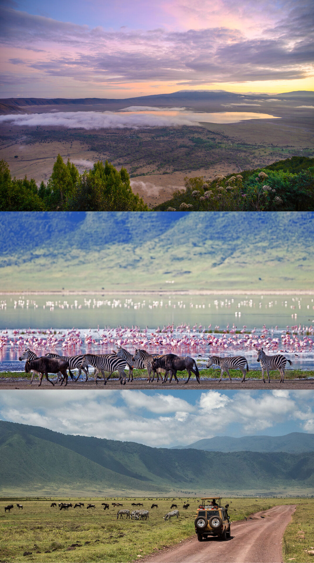 Tanzania - Ngorongoro Crater