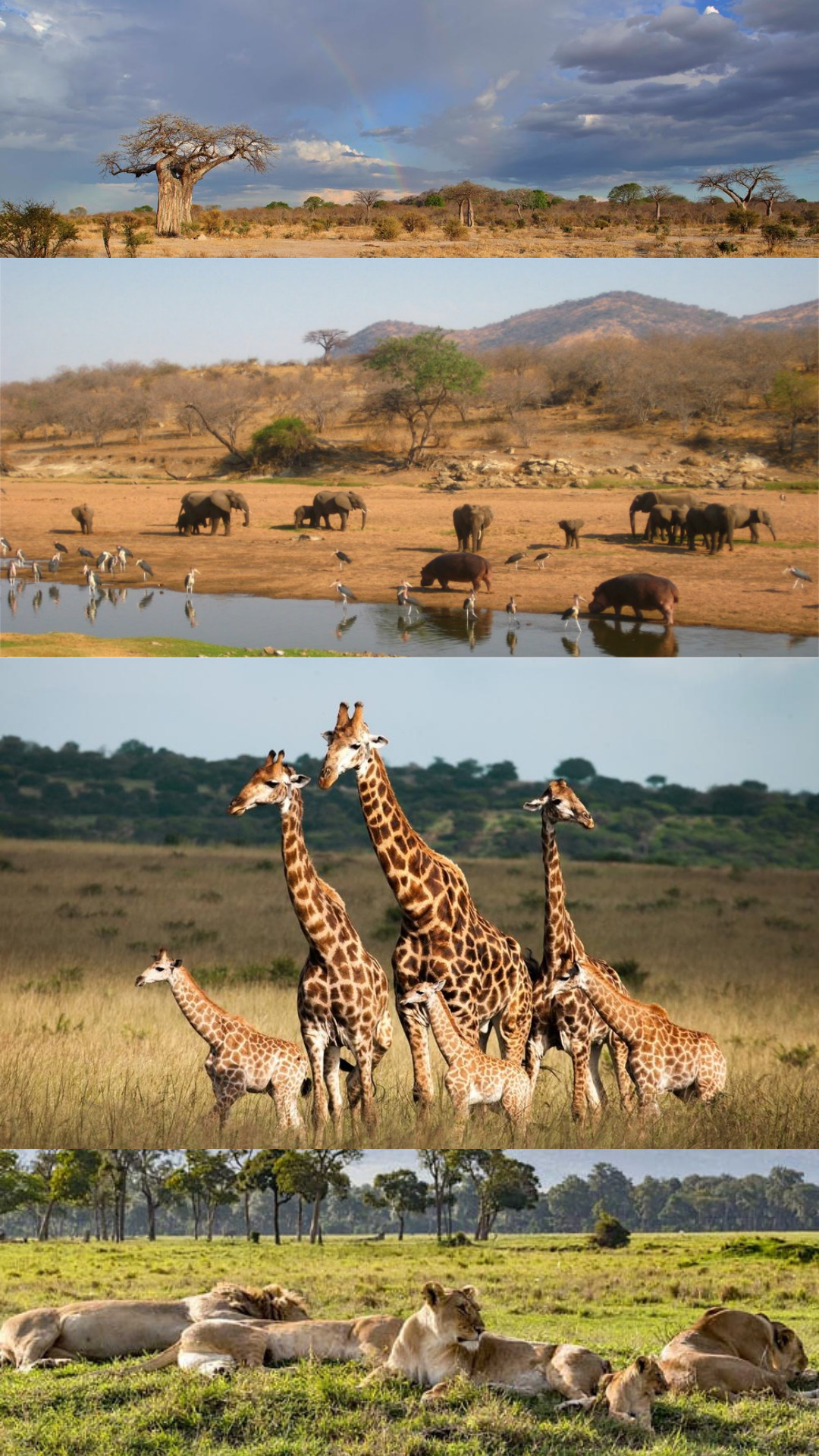 Tanzania_ Ruaha & Nyerere National Parks