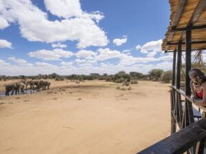 Porini  Amboseli Camp