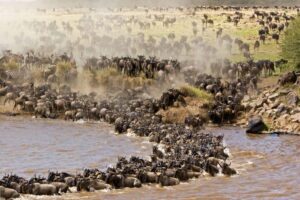 What’s the difference between the Maasai Mara and The Serengeti?