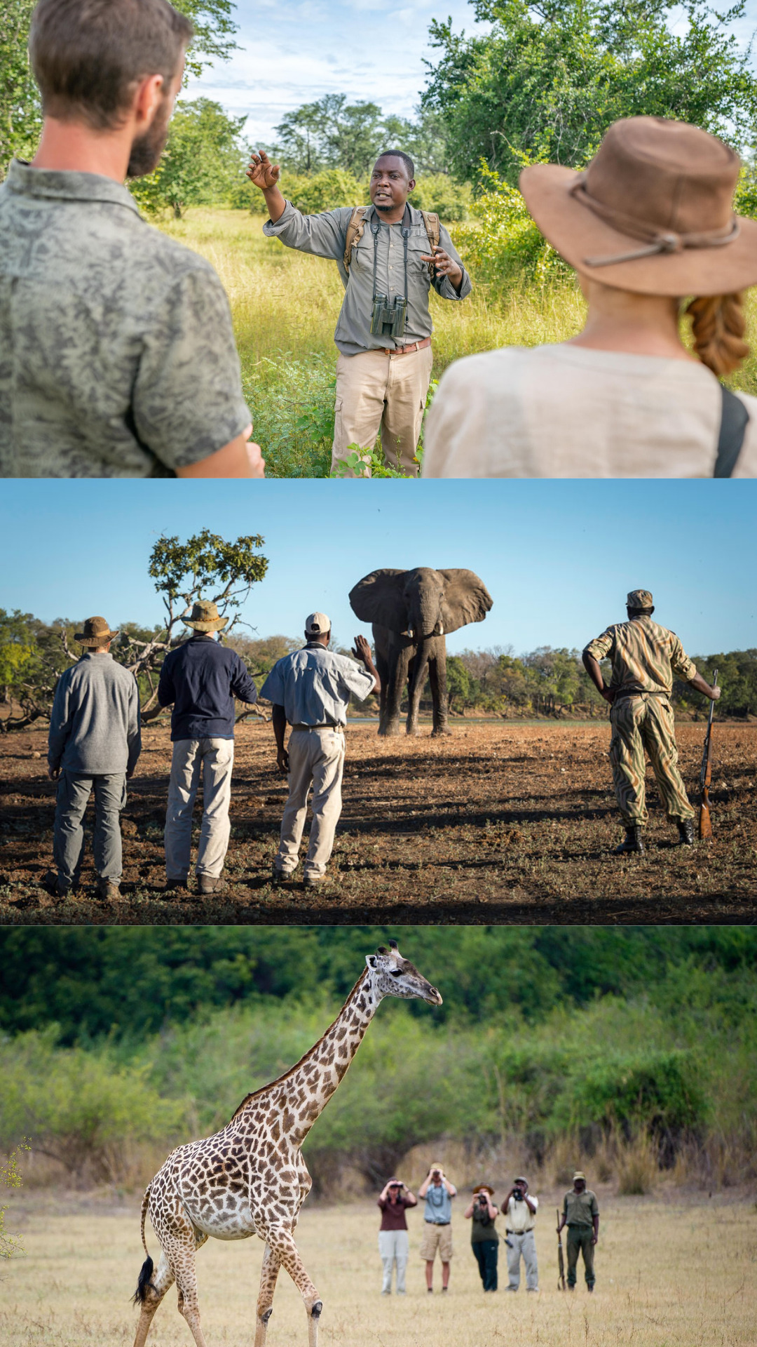 Zambia - walking safaris - walking with elephants - expert guides