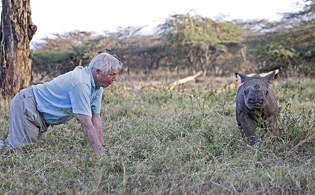 david-attenborough-africa