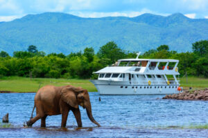 Cruise Africa – sailing along in real safari style