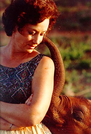 A young Daphne and Orphaned Elephant