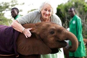 Safari Icons: Daphne Sheldrick