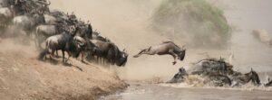 The Great Migration: When & Where
