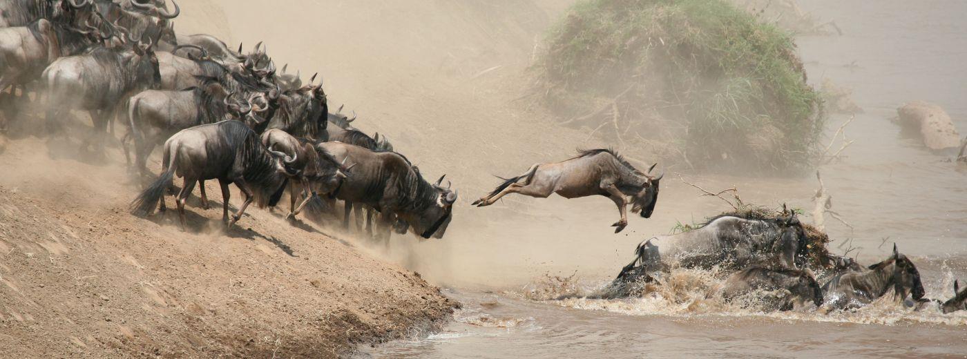 The Great Migration: When & Where