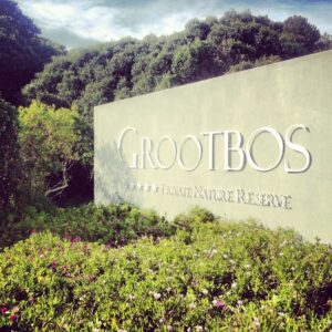 A Weekend at Grootbos Private Nature Reserve