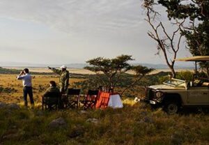 African Safari