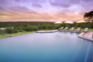 Rand hits new low against the Dollar: 5 Great South African Safari Specials to Take Advantage