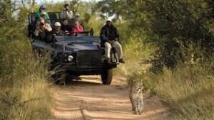 Cape Wine Country & Safari – 17 Days