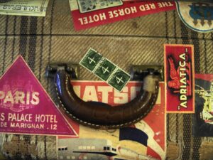 Top Ten Safari Essentials