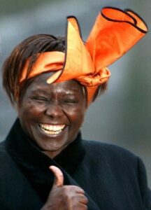Obituary : Africa’s Tree lady